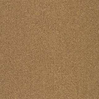 Picture of SFI Floors - Capital Ostrich