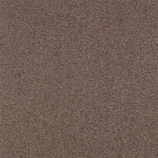 Picture of SFI Floors - Capital Seagull