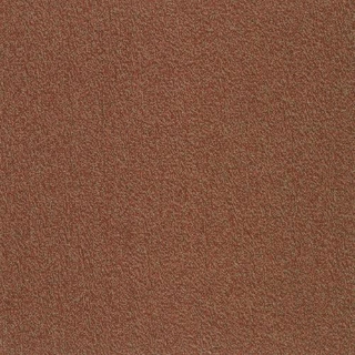 Picture of SFI Floors - Capital Toucan