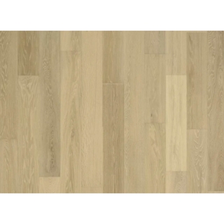 Picture of Nuvelle - Sea Harbor Sand Dollar