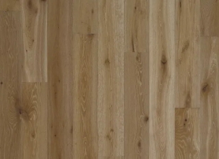 Picture of Nuvelle - Sawgrass Hills Coastal Haze