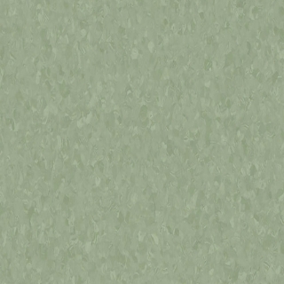 Picture of Tarkett - Melodia 12 x 24 Aloe Plant