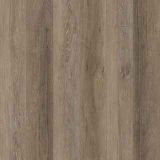 Picture of Fusion - eMax IXPE Benedictine