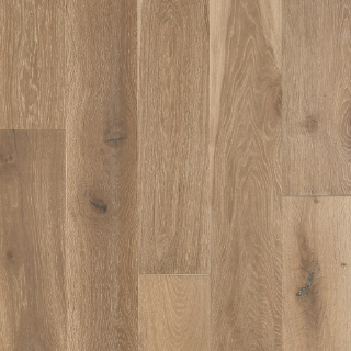 Picture of Mannington - Sanctuary Dune