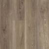 Picture of Shaw Floors - Distinction Plus Ash Oak