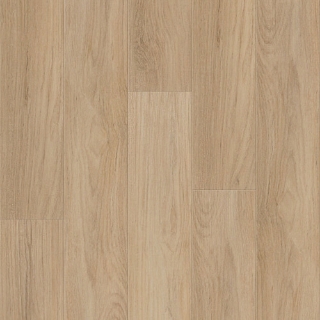 Picture of Shaw Floors - Distinction Plus Golden Timber