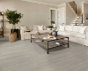 Picture of Shaw Floors - Distinction Plus Misty Grey