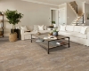 Picture of Shaw Floors - Paragon Tile Plus Clay