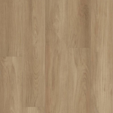 Picture of Shaw Floors - Distinction Plus Hazelnut Brown