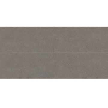 Picture of Daltile - Astronomy 12 x 24 Solstice