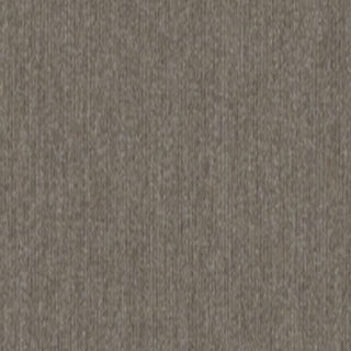 Picture of 5th and Main - Beyond Limits Prairie