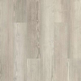 Picture of 5th and Main - Symbiotic 20 Shoreline