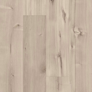 Picture of 5th and Main - Symbiotic 12 Canvas