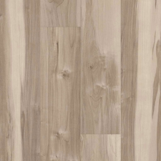 Picture of 5th and Main - Symbiotic 12 Capeview