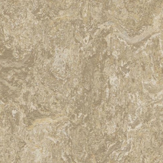 Picture of Forbo - Marmoleum Modular Marble 10 x 10 Forest Ground