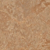 Picture of Forbo - Marmoleum Modular Marble 10 x 10 Shitake