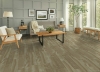 Picture of Armstrong - American Charm 6 Mountain Cherry Killington Beige