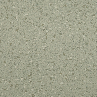 Picture of American Biltrite - Texas Granite 24 x 24 Warm Grey
