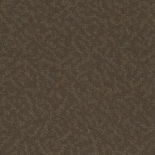 Picture of Pentz - Animated Bubbly