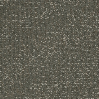 Picture of Pentz - Animated Exuberant