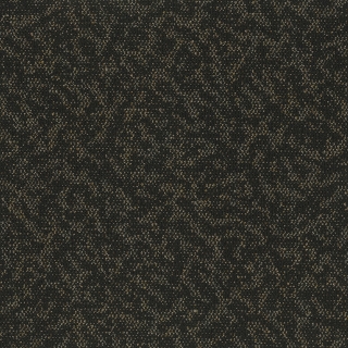 Picture of Pentz - Animated Vigorous