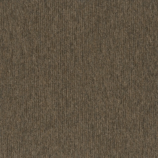 Picture of Pentz - Fast Break Coast To Coast