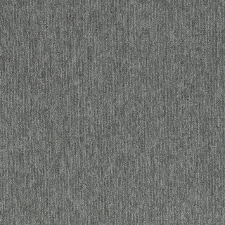 Picture of Pentz - Fast Break Slam Dunk