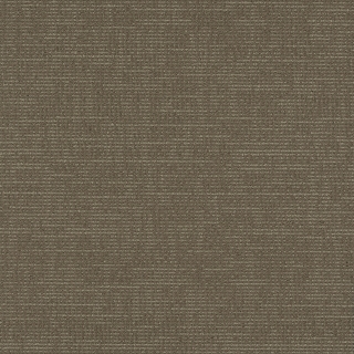 Picture of Pentz - Formation Trench