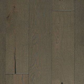 Picture of Palmetto Road - Chalmers Dolphin