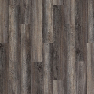 Picture of Palmetto Road - Inspire Grove Park