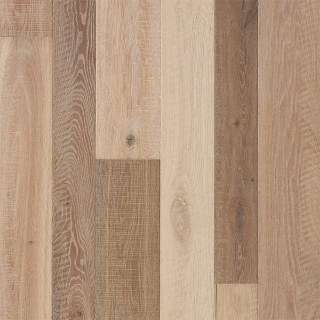 Picture of Palmetto Road - Riviera Valencia