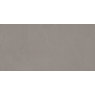 Picture of Emser Tile - Citizen 12 x 24 Matte Resident