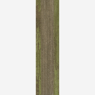 Picture of Joy - On Demand Ingrained Beech Grass