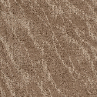 Picture of Joy - On Demand Riverine Nautilus