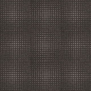 Picture of Next Floor - CleanStep Terra Firma