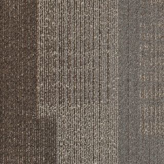 Picture of Next Floor - Dedication Harvest