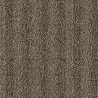 Picture of Aladdin Commercial - Special Coverage Special Report