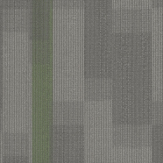 Picture of Pentz - Amplify Tile Parrot