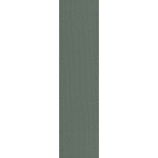 Picture of Pentz - Colorburst Plank Cloud