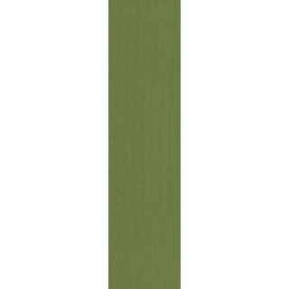 Picture of Pentz - Colorburst Plank Parrot