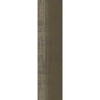 Picture of Pentz - Universe Plank Ecliptic