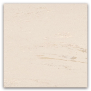 Picture of Johnsonite - Organics 12 x 24 Calcite