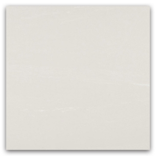 Picture of Johnsonite - Organics 12 x 24 Crystallized