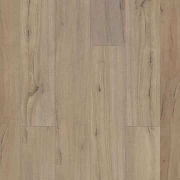 Picture of Shaw Floors - Paladin Plus Driftwood