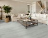 Picture of Shaw Floors - Paladin Plus Feather Grey