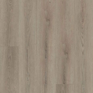 Picture of Shaw Floors - Paladin Plus Toasted Taupe