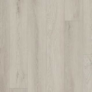Picture of Shaw Floors - Paladin Plus Warm Grey