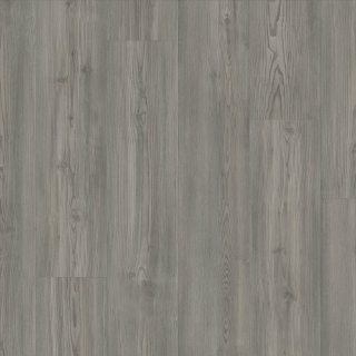 Picture of Shaw Floors - Paladin Plus Fresh Pine