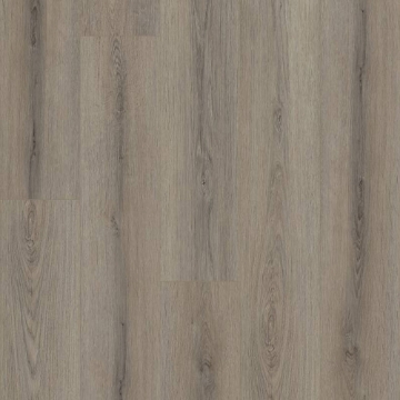 Picture of Shaw Floors - Paladin Plus Ashen Brown