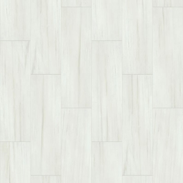 Picture of Shaw Floors - Casino 12 x 24 Matte Bianco